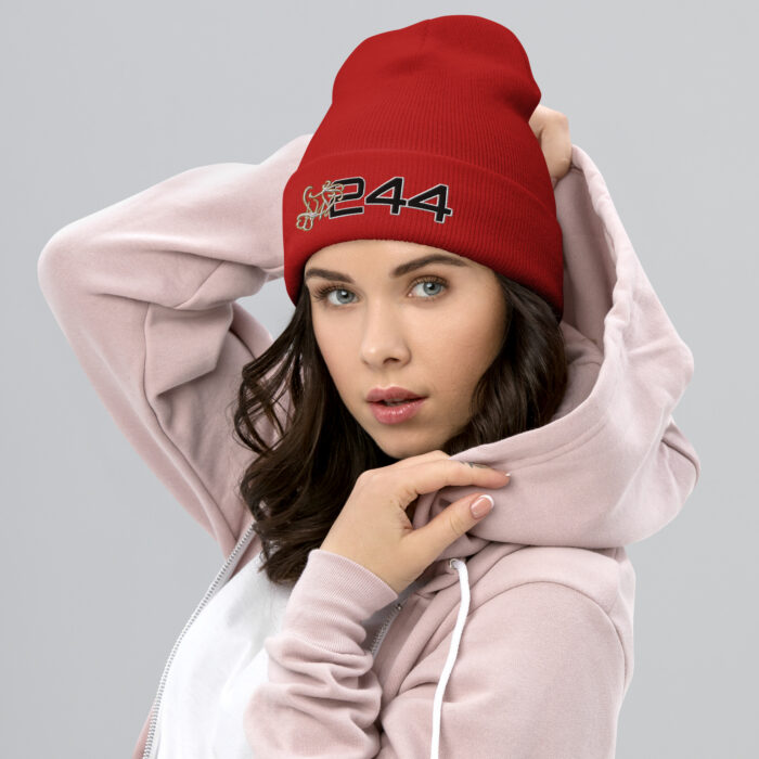 Cuffed Beanie - 2GS - Image 6