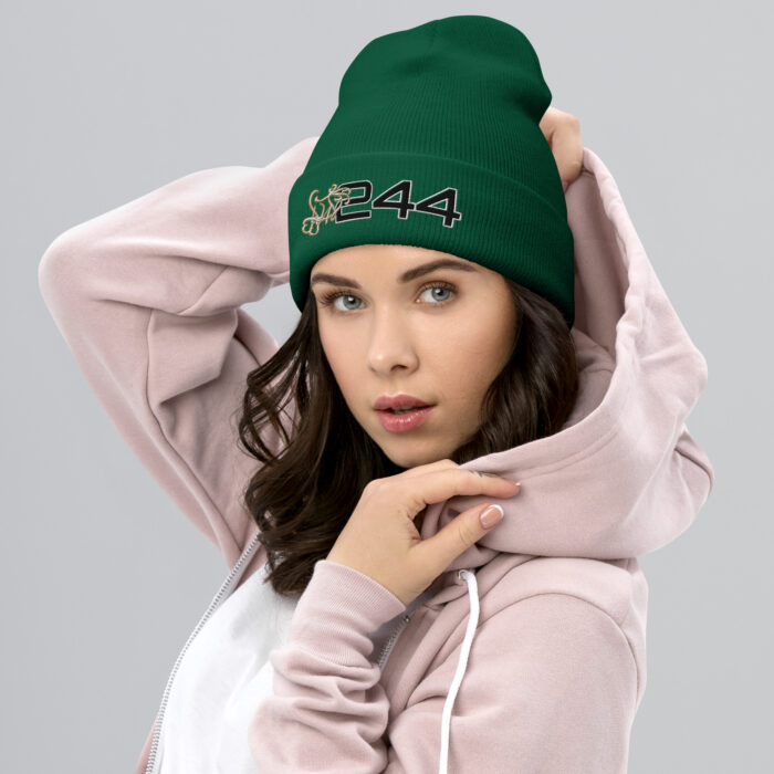 Cuffed Beanie - 2GS - Image 7